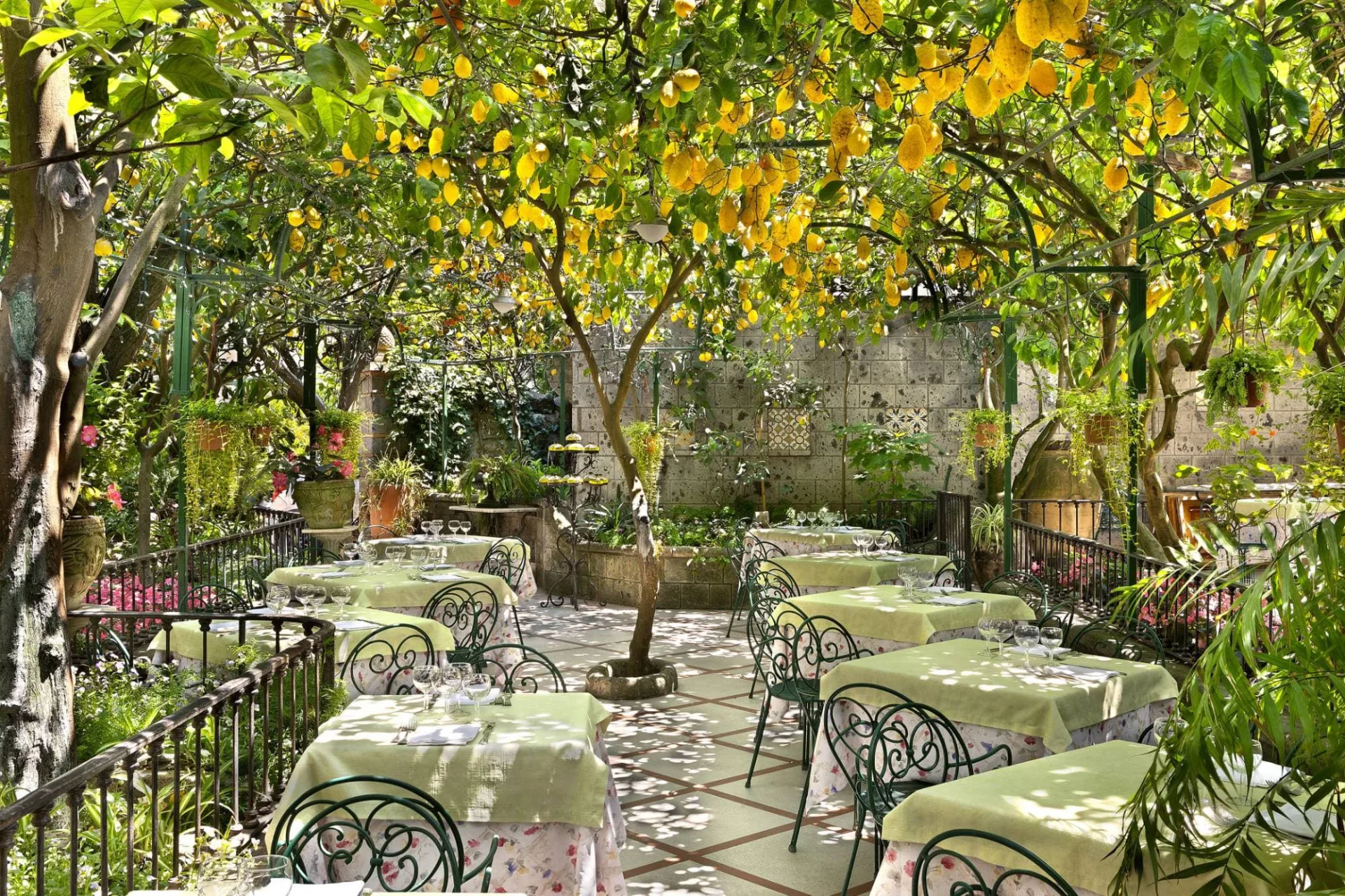 New Year’s Eve dinner among the lemon trees at ’O Parrucchiano